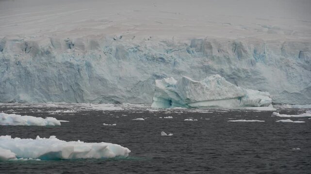 Cinematic POV shot moves slowly past a towering blue tidewater glacier and floating brash ice in Paradise Harbor, Antarctica, under an overcast polar sky
