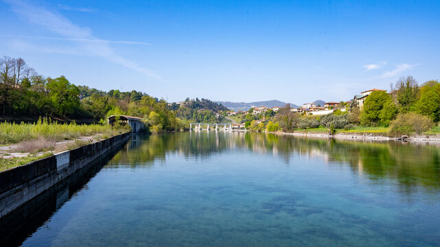 Bosco dei Tassodi di Paratico, Lago d'Iseo, Lombardia - Foresta di cipresso calvo in primavera