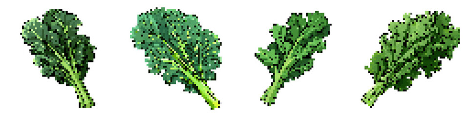 Fototapeta premium Kale pixel icon set. retro, pixelated 2d graphics for games and apps