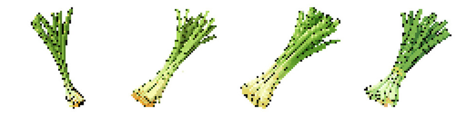 Fototapeta premium Leek pixel icon set. retro, pixelated 2d graphics for games and apps