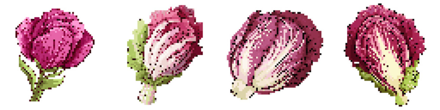 Radicchio pixel icon set. retro, pixelated 2d graphics for games and apps