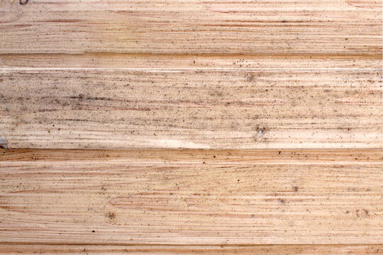 Black mold is growing on the wooden wall.