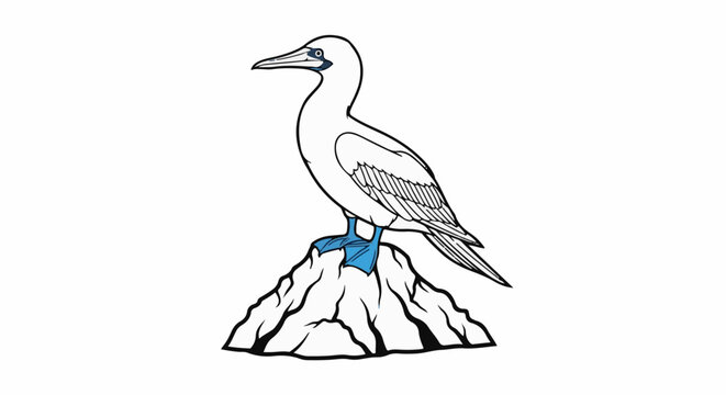 Outline illustration of a seabird with blue feet on a rock