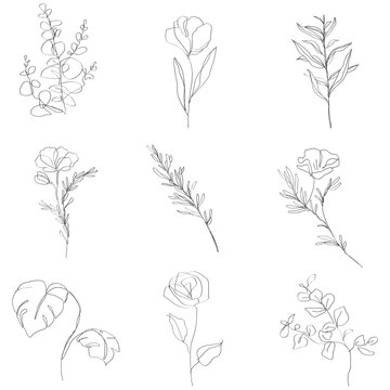 Gemini said

A vintage nature illustration featuring a seamless pattern of hand drawn flowers, vector trees, and garden plants with elegant leaf sketches and black butterfly accents for a summer flora
