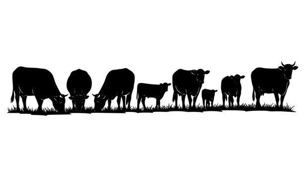 Cow and calf grazing silhouettes vector herd scene farm cattle group rural agriculture illustration set