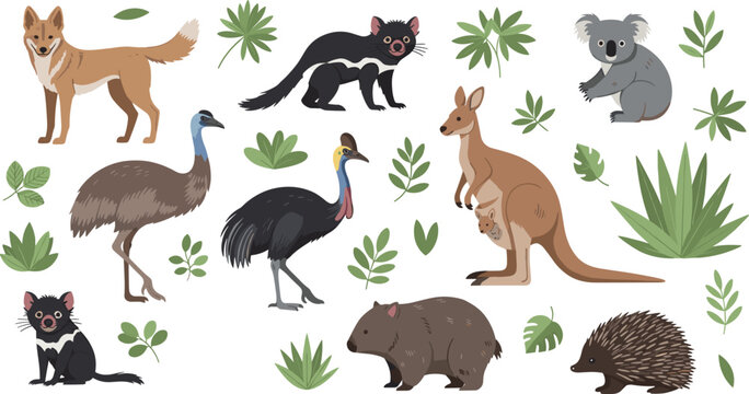 Cute vector collection of native Australian wildlife featuring kangaroo koala wombat emu cassowary and dingo with green leaves.