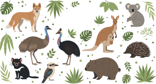 Cute vector set of native Australian wildlife featuring kangaroo koala wombat kookaburra and emu isolated with green leaves.