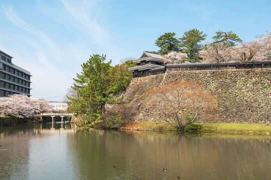 松江城の石垣とお堀に映る春の城郭風景
