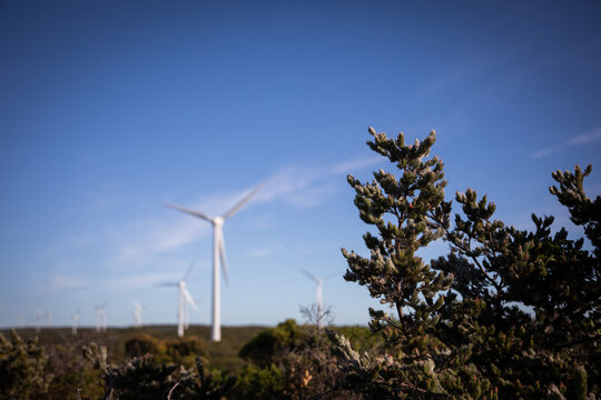 Wind turbines line a coastal landscape under a clear blue sky.