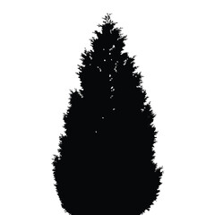 Evergreen tree silhouette, black pine tree, coniferous forest icon, dark green foliage © Julakha