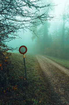 Morning autumn nature in Zurich