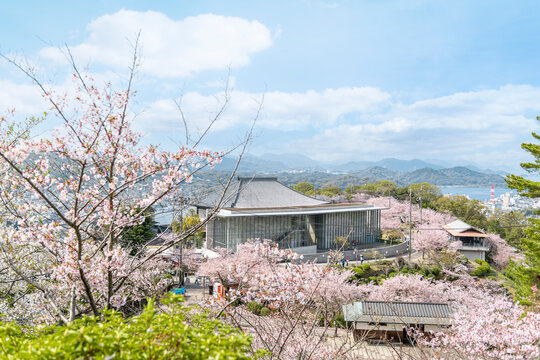 春の千光寺公園を彩る桜と展望施設の風景