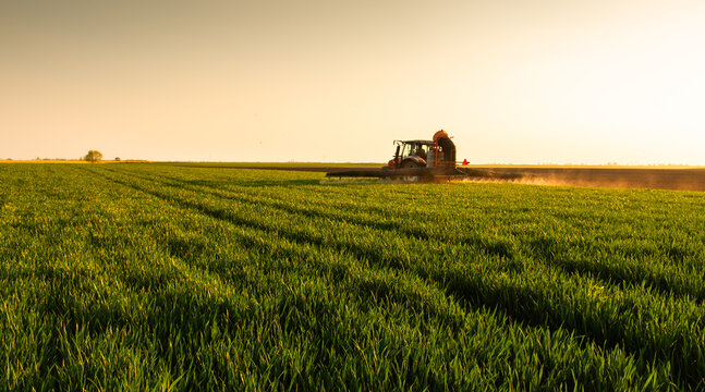 Farmer in tractor spraying crops at sunset