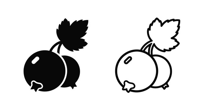 Two black currant berry illustrations in contrasting styles silhouette