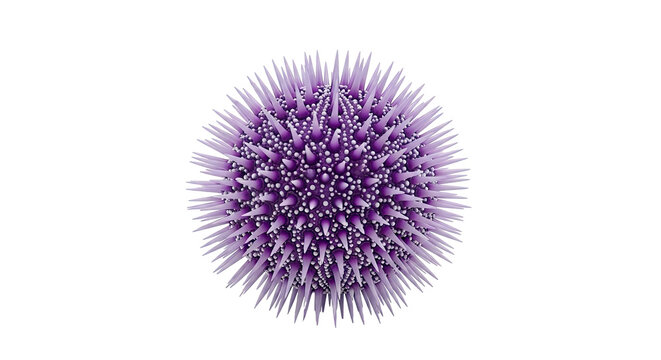 Purple Sea Urchin Macro Detail
