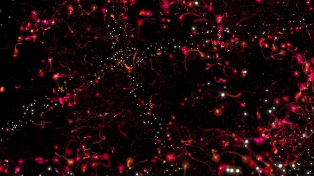 red and white fireworks motion video move. abstract background motion video. texture pattern