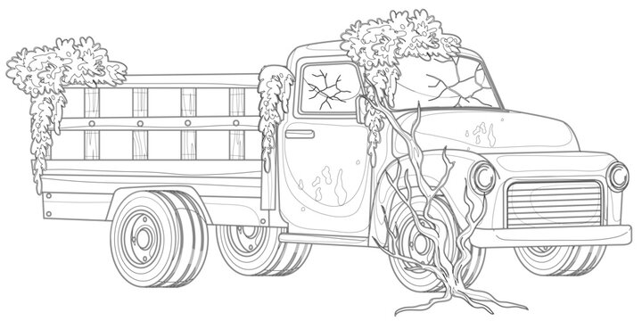 Forgotten Relic: An aged pickup truck, reclaimed by the elements, stands as a testament to time's passage and nature's enduring power. The vehicle, now adorned with encroaching vegetation.