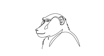 Fototapeta premium Continuous line art of a monkey