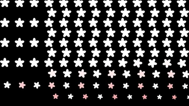 Beautiful motion graphics animation featuring a field of red and white hand-drawn flowers over a black background. Ideal for spring themes, feminine designs, nature-inspired projects, and transitions