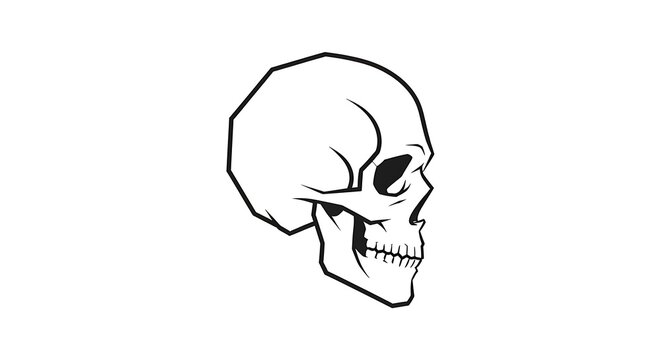 Monochrome skull illustration