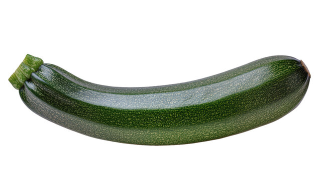 Fresh green zucchini with textured skin, isolated on transparent background
