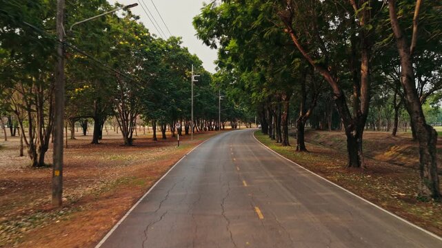 Aerial perspective tracks forward low altitude following a curved paved road between rows of large green trees while passing a circular 60 km per hour speed limit sign and continuing