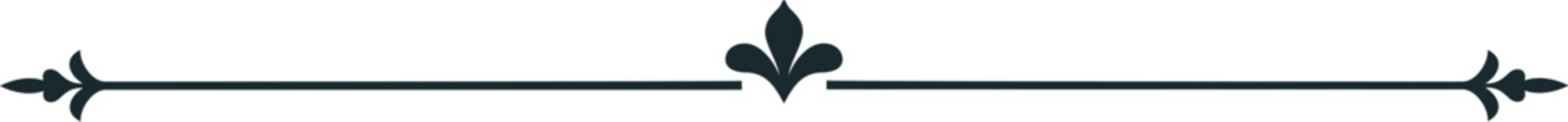 Elegant vintage decorative line divider