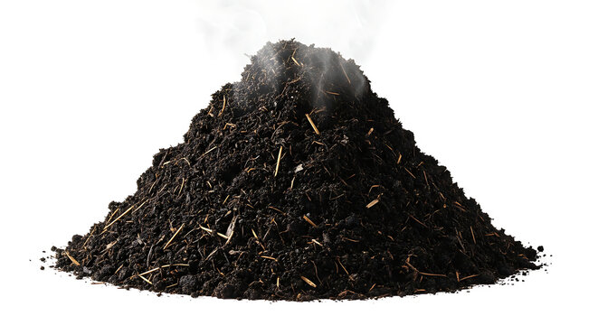 Rich, dark, and steaming compost pile isolated on white, symbolizing healthy organic gardening and soil enrichment