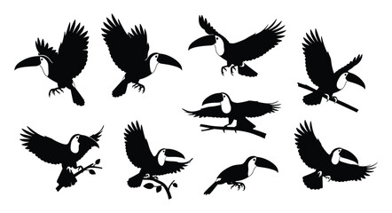 Obraz premium Toucan Silhouette Set — Flying and Perching Toucan Black Silhouettes Vector Collection Isolated on White Background