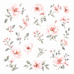 Obraz premium Gentle botanical arrangement forming a decorative frame with soft blossoms and organic flowing stems.