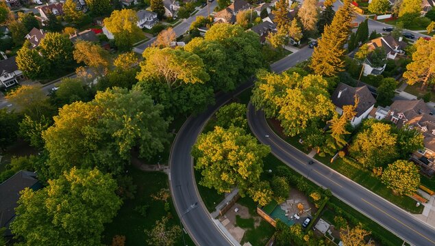 Aerial View of Curved Road Surrounded by Lush Green Trees