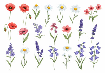 Fototapeta premium Charming handdrawn flowers arranged neatly showcasing vibrant petals and gentle stems in artistic composition style.