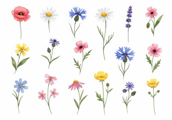 Obraz premium Light and delicate blossoms forming a soft watercolor floral arrangement