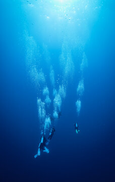 Divers plunge into the Indian Ocean in the Maldives