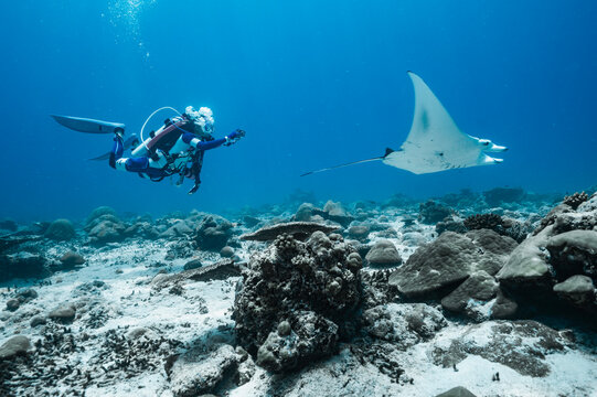 scuba diver and Manta ray in the southern Maldives