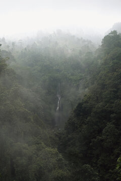 Tropical waterfall cascading through lush green jungle, Sekumpul, Bali