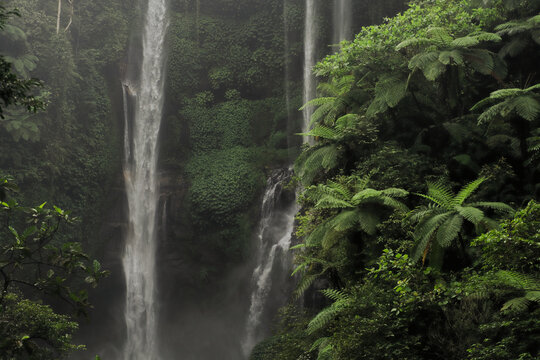 Sekumpul Waterfall Cascading Through Lush Tropical Jungle in Bali