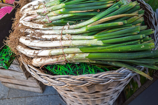 Fresh Calcot Onions in a Wicker Basket at Market