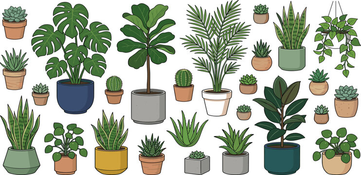 Large collection of indoor house plants and succulents in ceramic pots including monstera fiddle leaf fig snake plant and cacti vector illustration.