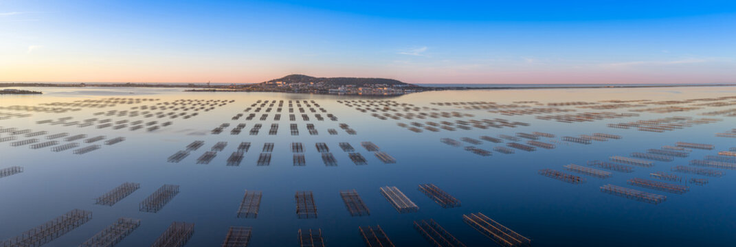 Panoramic view of the Thau lagoon and its sandbanks at sunrise, Bouzigues, Occitanie, France