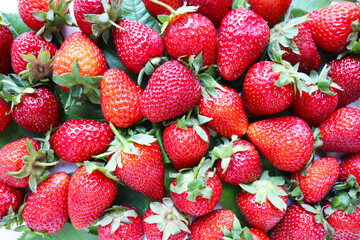 fresh strawberries background © Palanga