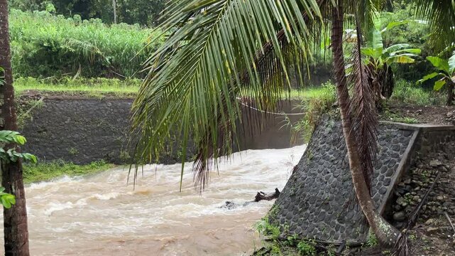 River flowing beside reinforced embankment and palm trees in tropical area, showing flood control and natural landscape with calm yet powerful mood.