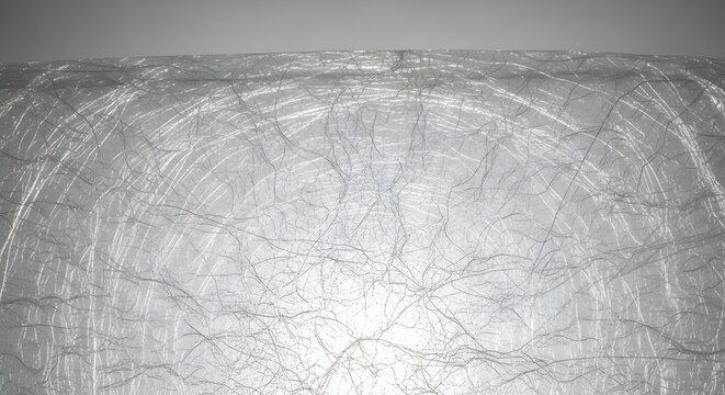 Macro Texture of Sustainable Biodegradable Material