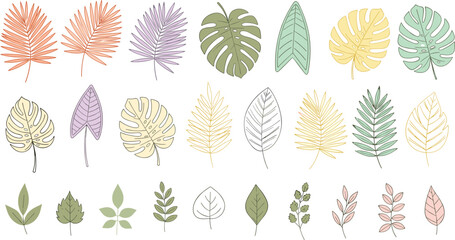 Tropical Leaves and Botanical Foliage Vector Icon Set with Monstera, Palm and Colorful Leaves for Nature Designs © MDTAREK