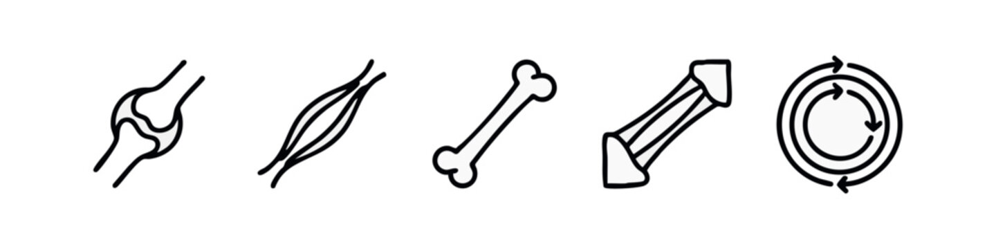 Line art medical and biology icons: joint, muscle, bone, ligament, circulation