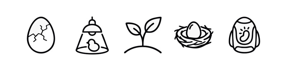 Outline icons illustrating the life cycle of a chick © liubomir118809