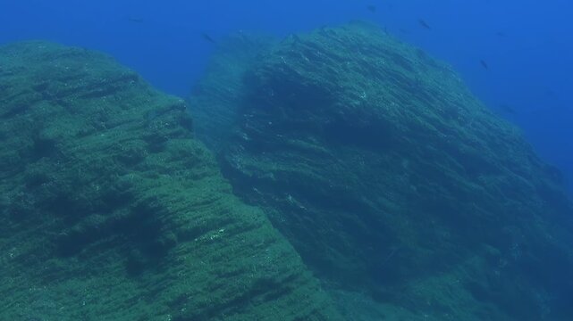 Underwater rocks in the Azores islands,rock,rocks,underwater,under sea,sea,sea life,marine life, scenery,aqua,aquatic,scuba,scuba diving,
