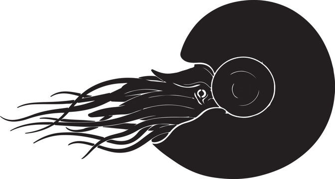 Simple black and white illustration of a single scallop seashell outline