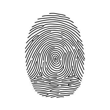 Minimal monochrome fingerprint illustration showing loop and ridge patterns in biometric design.