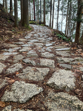 Road of the famous Nakasendo hiking trail in Japan